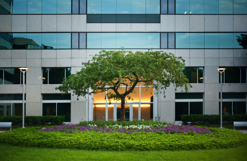 Professional commercial gardening services