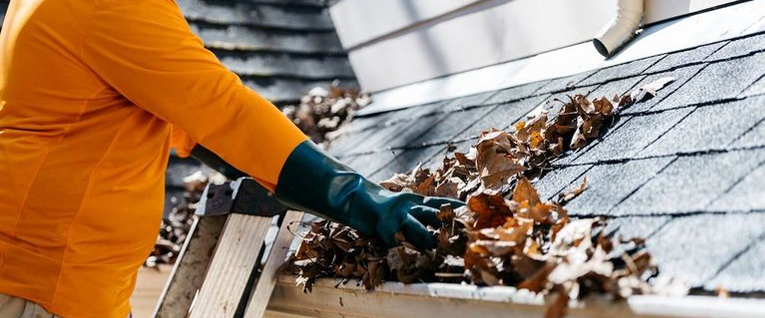 Gutter Cleaning Service