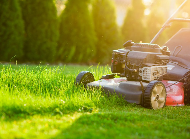 Lawn Mowing Services